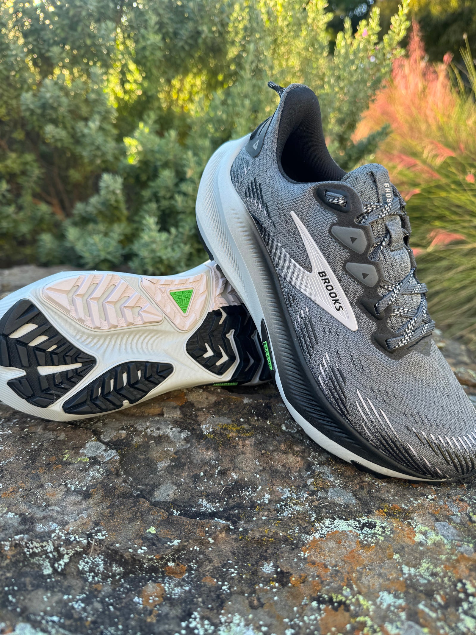 NEW: Brooks Ghost Trail