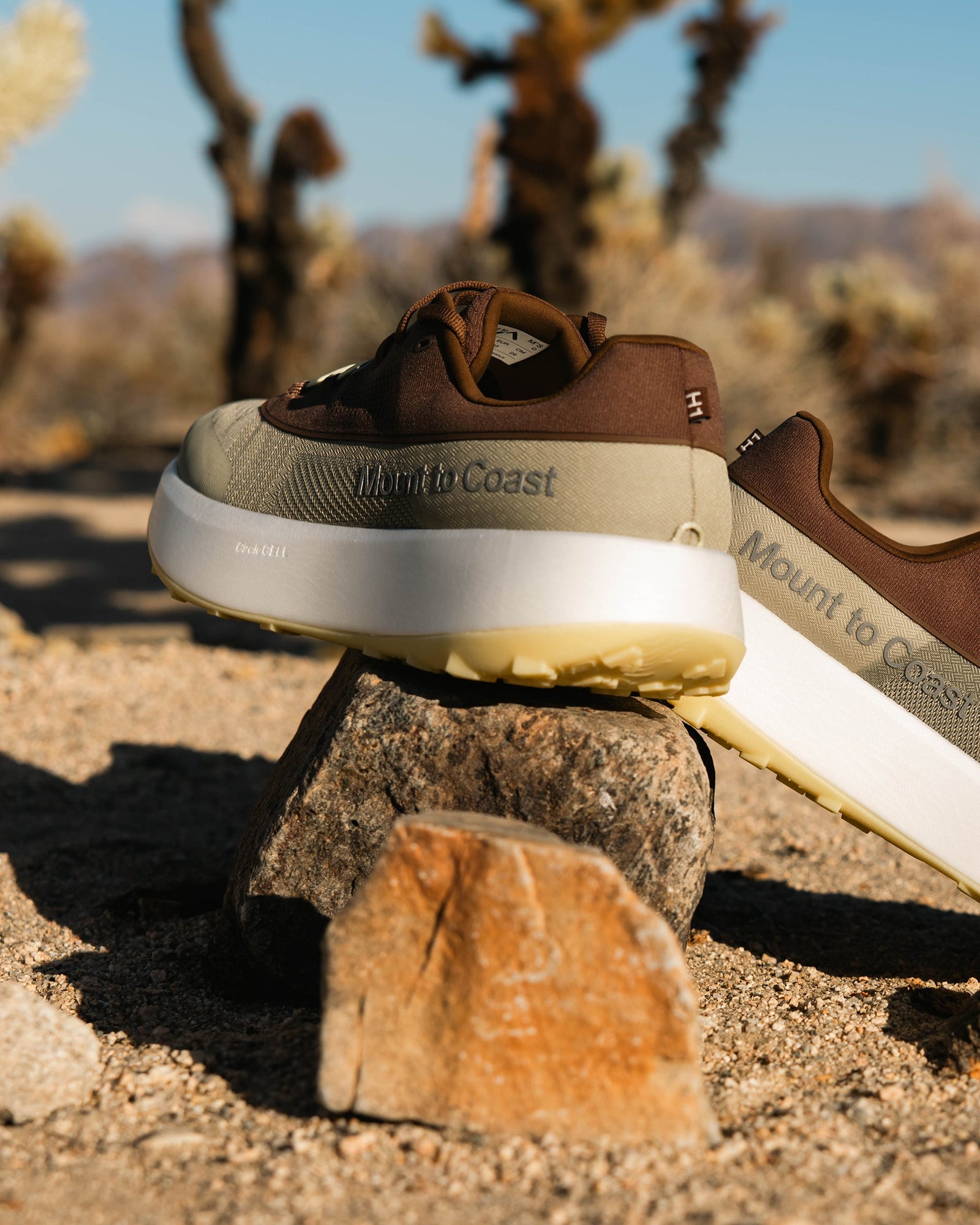 NEW: Mount to Coast H1